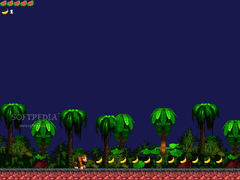 DK and Kiddy screenshot 2