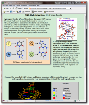 DNA Hybridization screenshot