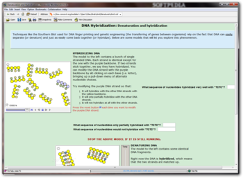 DNA Hybridization screenshot 2