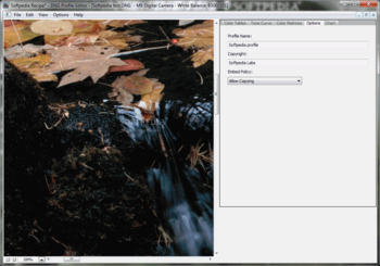 DNG Profile Editor screenshot 7