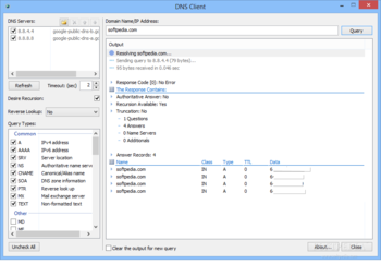 DNS Client screenshot