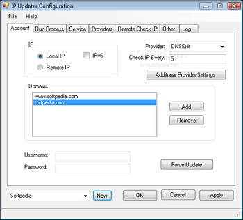 DNS IP Updater screenshot