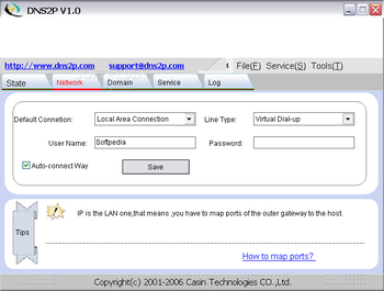 DNS2P screenshot 2