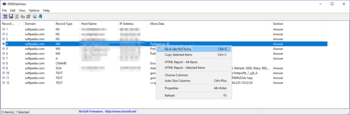 DNSDataView screenshot