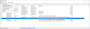 DNSDataView screenshot 2