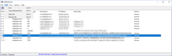DNSDataView screenshot 3