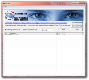 DnsEye screenshot