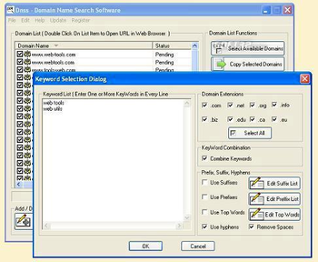 DNSS Domain Name Search Software screenshot 3