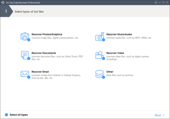 Do Your Data Recovery Professional screenshot