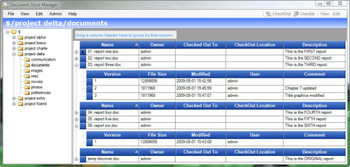 Document Store Manager screenshot