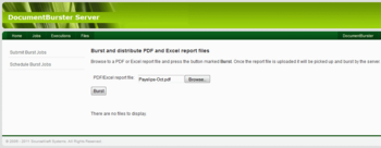 DocumentBurster Server screenshot 2