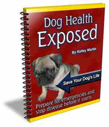 Dog Health Exposed screenshot