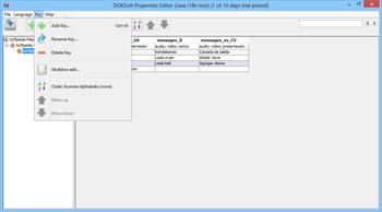 DOKSoft Properties Editor screenshot 4