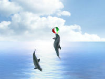 Dolphin Dreams Screensaver screenshot 3