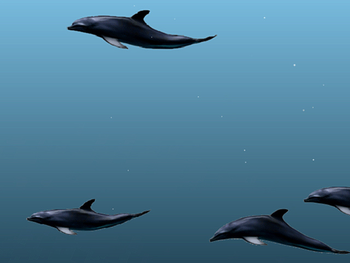 Dolphins 3D Screensaver screenshot
