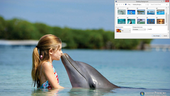 Dolphins Windows 7 Theme screenshot