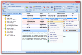 Domain Name Analyzer screenshot 2