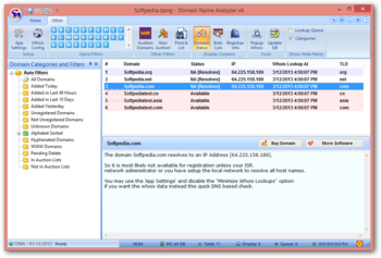 Domain Name Analyzer screenshot 3
