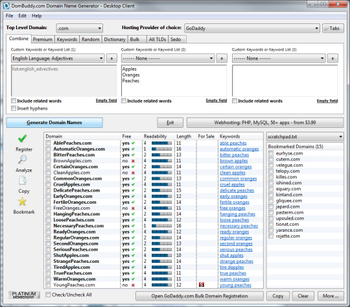 Domain Name Generator Desktop Client screenshot