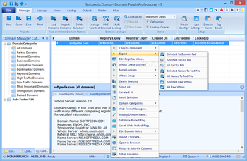 Domain Punch Professional screenshot