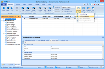 Domain Punch Professional screenshot 2