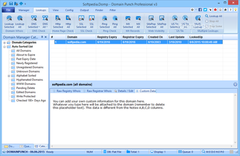 Domain Punch Professional screenshot 3