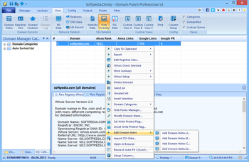 Domain Punch Professional screenshot 4