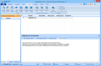 Domain Punch Professional screenshot 5