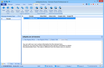 Domain Punch Professional screenshot 6