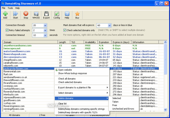DomainKing screenshot
