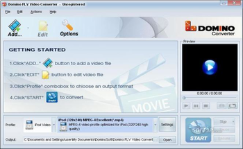 Domino FLV Video Converter screenshot 2