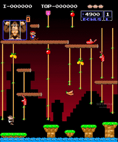 Donkeykong Jr screenshot