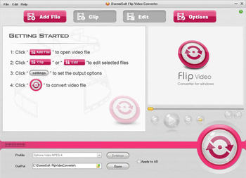 Doremisoft Flip Video Converter screenshot 2