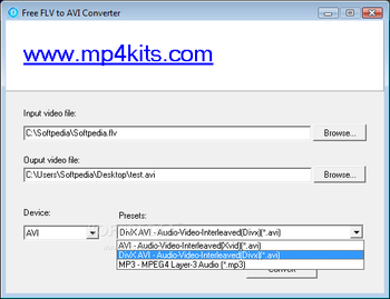 DoremiSoft Free FLV to AVI Converter screenshot