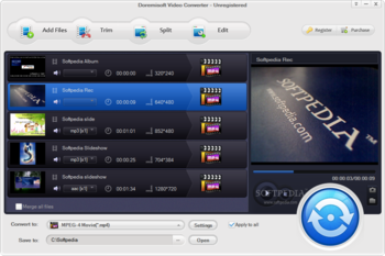Doremisoft Video Converter screenshot