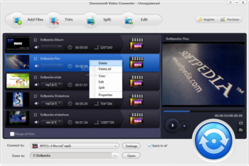 Doremisoft Video Converter screenshot 2