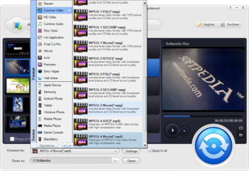 Doremisoft Video Converter screenshot 3