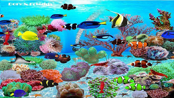 Dory N Friends screenshot