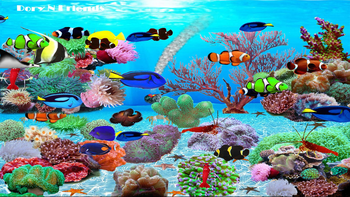 Dory N Friends Wallpaper screenshot 2