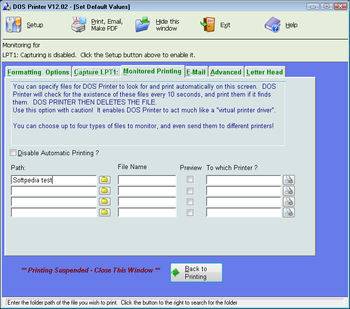 DOS Printer screenshot 2