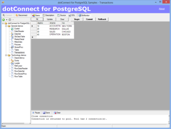 dotConnect for PostgreSQL screenshot 8