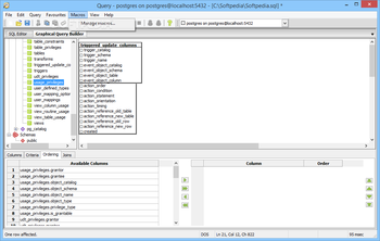 dotConnect for PostgreSQL Express screenshot 7