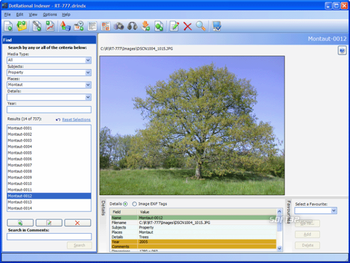 DotRational Indexer screenshot 2