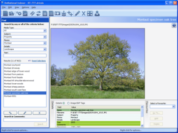 DotRational Indexer screenshot 3