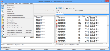 Double Commander screenshot 3
