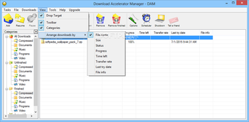 Download Accelerator Manager screenshot 6