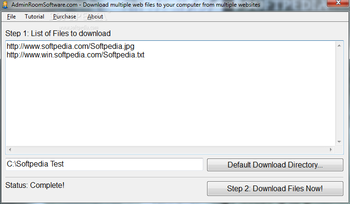 Download multiple web files to your computer from multiple websites screenshot