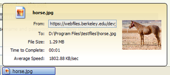 Download Statusbar screenshot