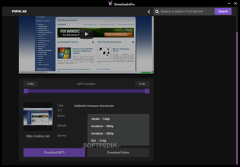 DownloaderPro screenshot 2