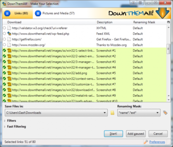 DownThemAll! screenshot